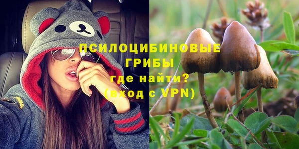 ГАЛЛЮЦИНОГЕННЫЕ ГРИБЫ Верхнеуральск