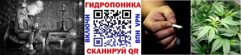 Купить закладки  Тутаев  Шишки марихуана AK-47 